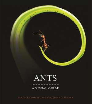 Ants – A Visual Guide de Heather Campbell