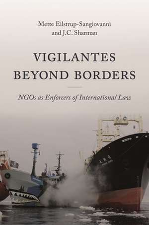 Vigilantes beyond Borders de Mette Eilstrup-Sangiovanni