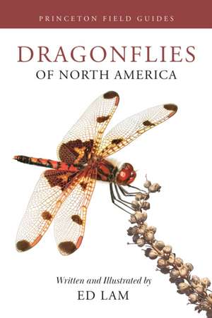 Dragonflies of North America de Ed Lam