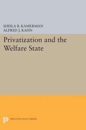 Privatization and the Welfare State de Sheila B. Kamerman