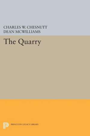 The Quarry de Charles W. Chesnutt