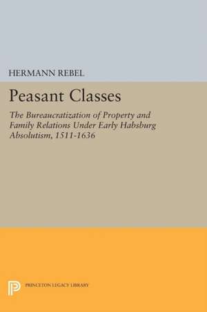 Peasant Classes de Hermann Rebel