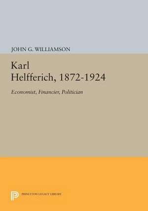 Karl Helfferich, 1872–1924 – Economist, Financier, Politician de John G. Williamson