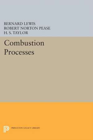 Combustion Processes de Bernard Lewis