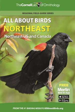 All About Birds Northeast – Northeast US and Canada de Cornell Lab Of Ornithology