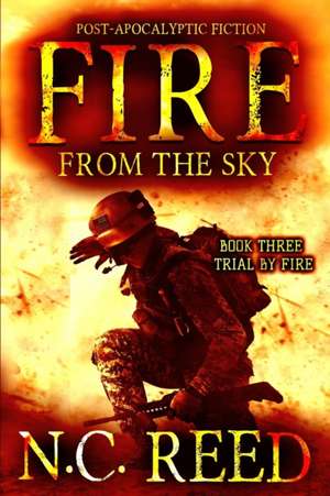 Fire From the Sky de N. C. Reed