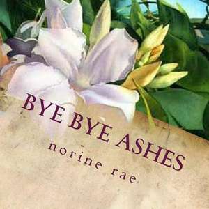 Bye Bye Ashes de Norine Rae