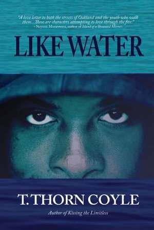 Like Water de T. Thorn Coyle