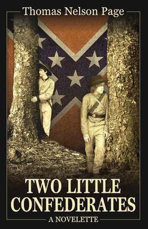 Two Little Confederates de Thomas Nelson Page