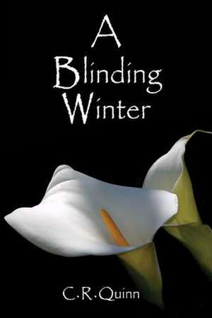 A Blinding Winter de C. R. Quinn