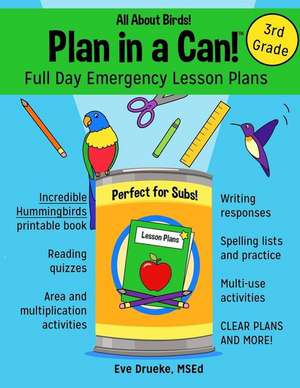 Plan in a Can! Full Day Emergency Lesson Plans for 3rd Grade de Eve Drueke