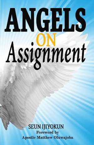 Angels on Assignment de Seun Ijiyokun