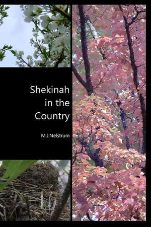 Shekinah in the Country de M. J. Nelstrum