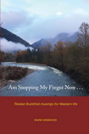 Am Stopping My Finger Now de Mark S. Winwood