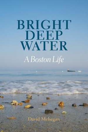 Bright Deep Water de David Mehegan