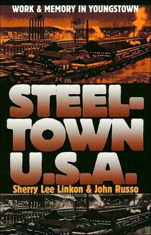 Steeltown U.S.A.: Work and Memory in Youngstown de Sherry Lee Linkon