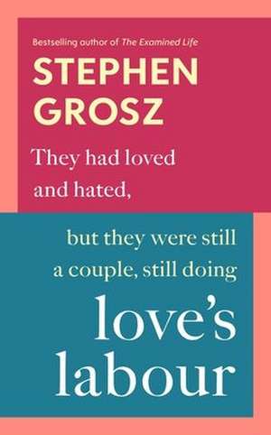 Love's Labour de Stephen Grosz