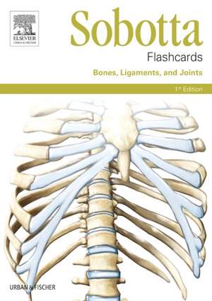 Sobotta Flashcards Bones, Ligaments, and Joints: Bones, Ligaments, and Joints de Lars Bräuer