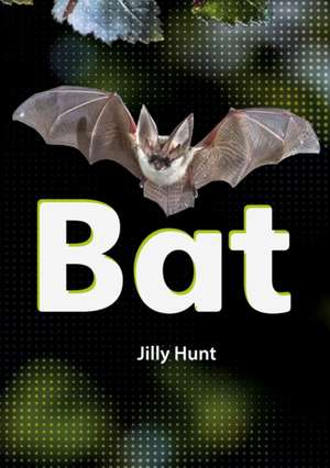 Bat (Set 02) de Jilly Hunt