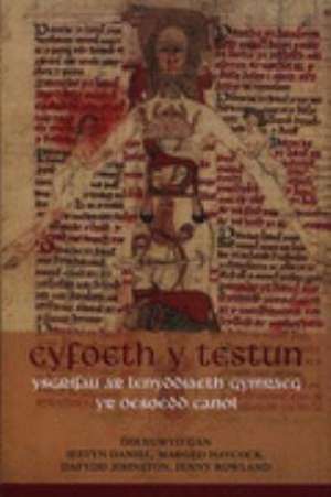 Cyfoeth Y Testun