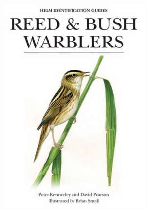 Reed and Bush Warblers de David Pearson