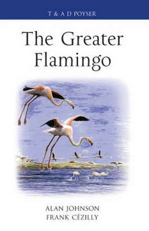 Greater Flamingo de Alan Johnson