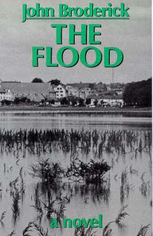 The Flood de John Broderick