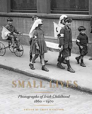 Small Lives de Aoife O Connor