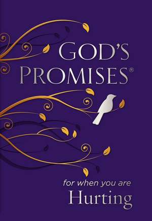 God's Promises for When You are Hurting de Jack Countryman