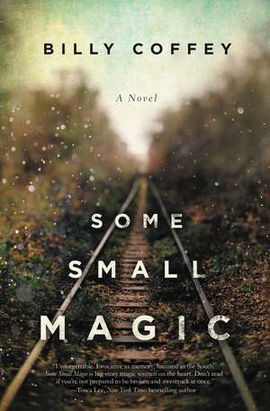 Some Small Magic de Billy Coffey