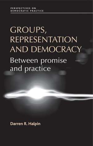 Groups, Representation and Democracy de Darren Halpin