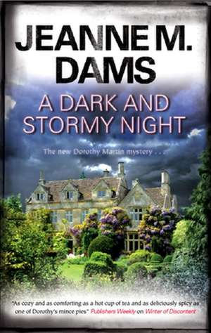 A Dark and Stormy Night de Jeanne M Dams