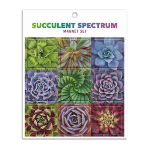 Galison: Succulent Spectrum Magnet Set de Galison