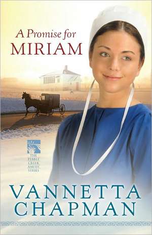 A Promise for Miriam de Vannetta Chapman