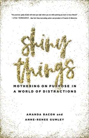 Shiny Things de Amanda Bacon