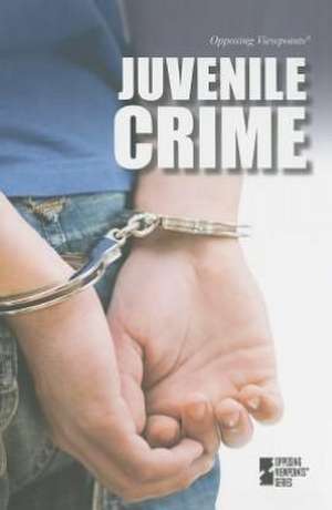 Juvenile Crime de Louise I. Gerdes