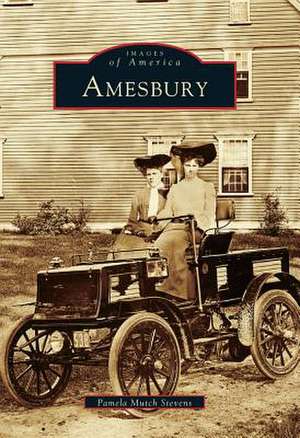 Amesbury de Pamela Mutch Stevens