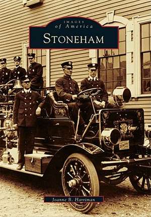 Stoneham de Joanne B. Harriman