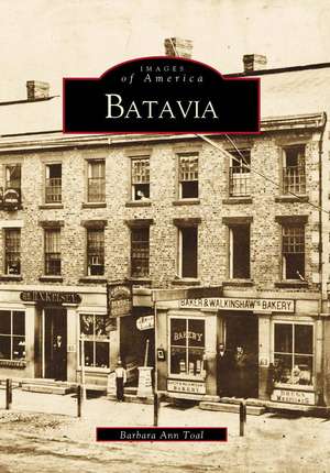 Batavia de Barbara Ann Toal