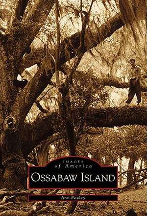 Ossabaw Island de Ann Foskey