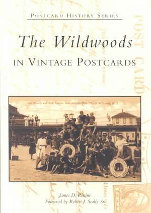 The Wildwoods: In Vintage Postcards de James D. Ristine