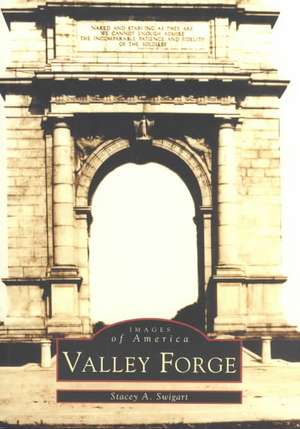 Valley Forge de Stacey A. Swigart