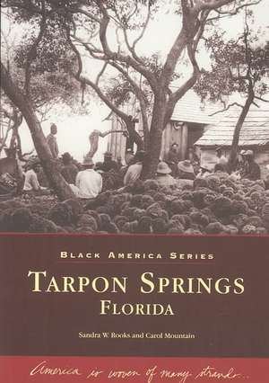 Tarpon Springs, Florida de Sandra Rooks