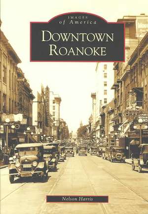 Downtown Roanoke de C. Nelson Harris