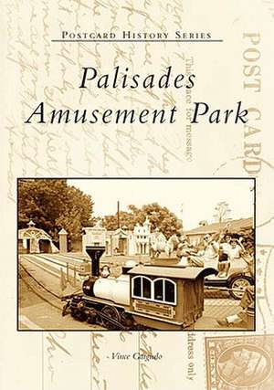 Palisades Amusement Park de Vince Gargiulo