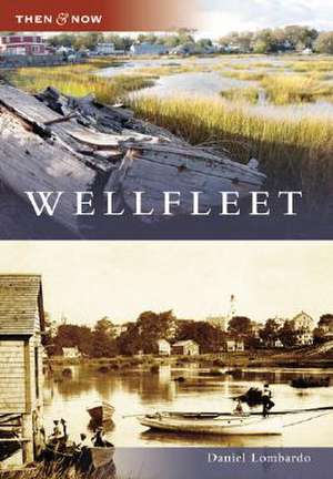 Wellfleet de Daniel Lombardo