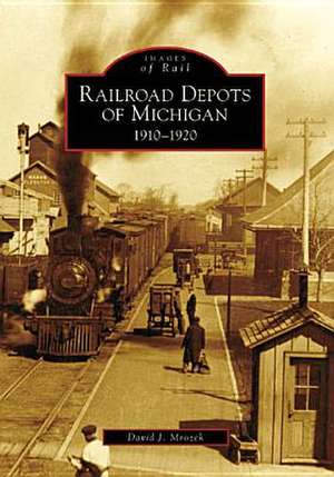 Railroad Depots of Michigan: 1910-1920 de David J. Mrozek