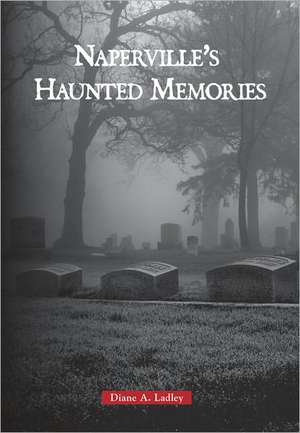 Haunted Naperville de Diane A. Ladley