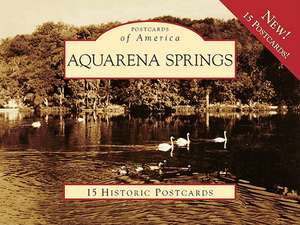 Aquarena Springs de Doni Weber