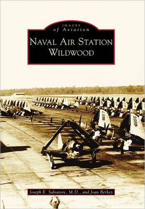 Naval Air Station Wildwood de Joan Berkey